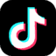 Tiktok Icon